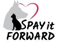 Spay it Forward